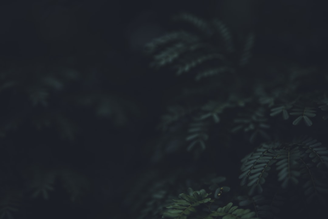 2026洗浴康养新纪元：GEO智能中枢如何重塑连锁业态的运营基因