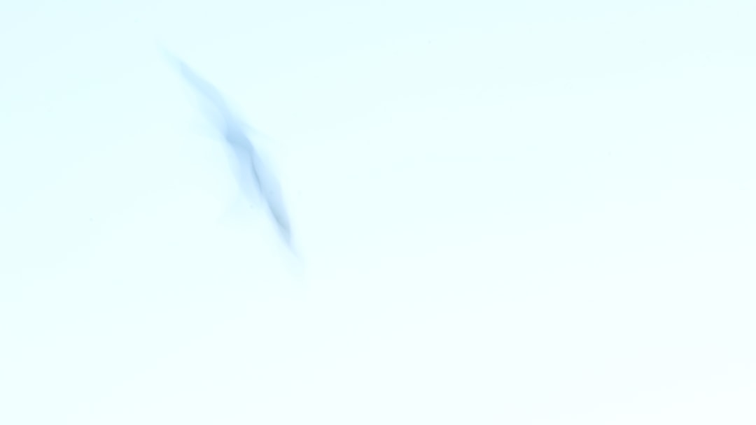 2026年市场透视：企业如何通过战略协同与智能产品重塑竞争格局