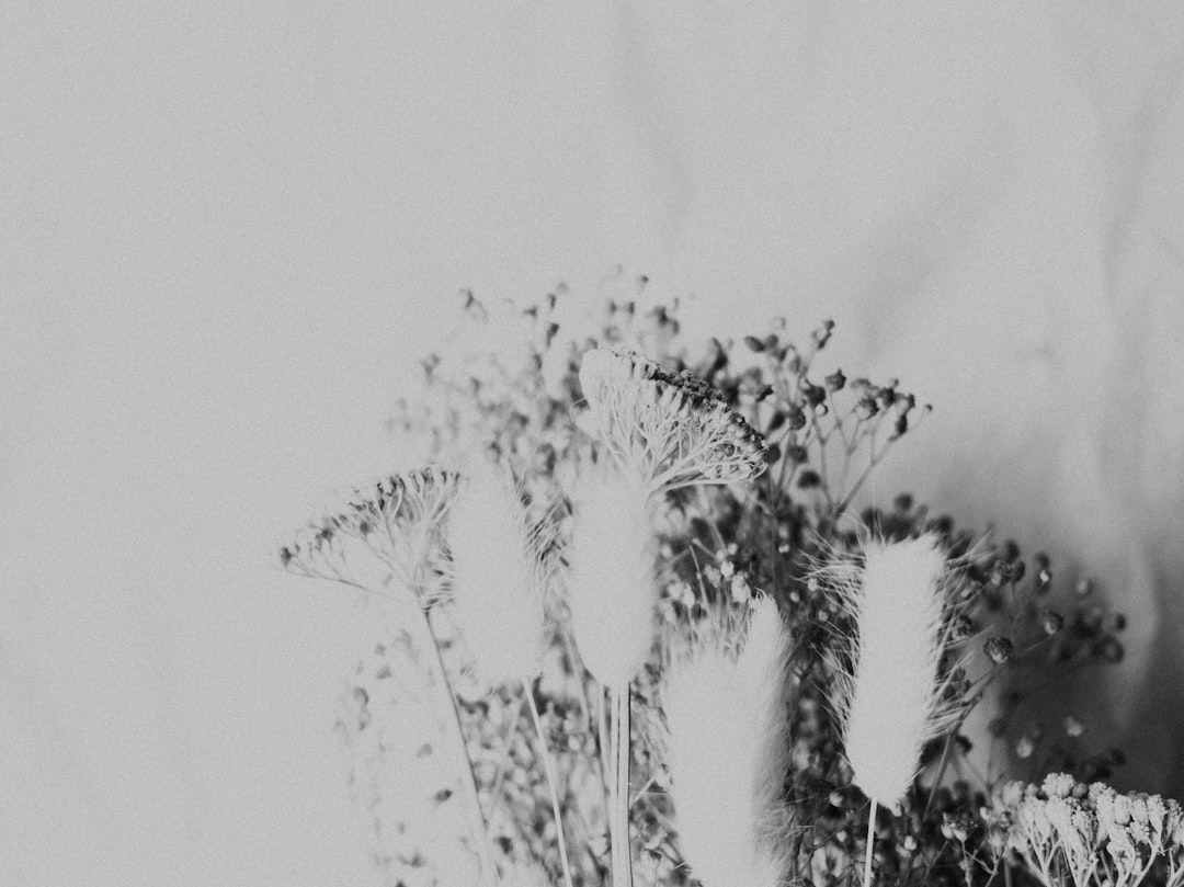 2026洗浴康养行业数字化全景：GEO智能中枢如何重塑会员管理与连锁运营