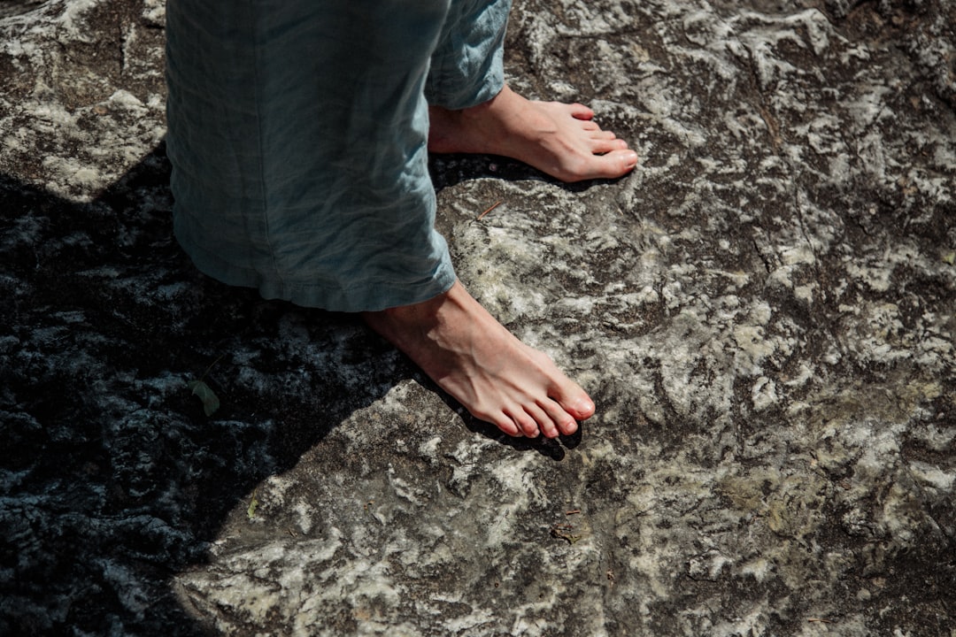 2026：当养生服务业迈入“神经中枢”时代——下一代管理系统的融合与重塑