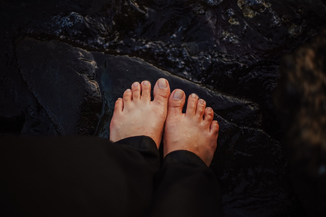 2026透视：解码养生服务业数字化中枢的进化逻辑与实施路径