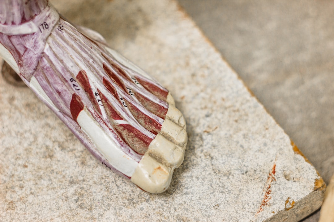 2026智慧养生新纪元：解码足疗采耳行业一体化数字解决方案