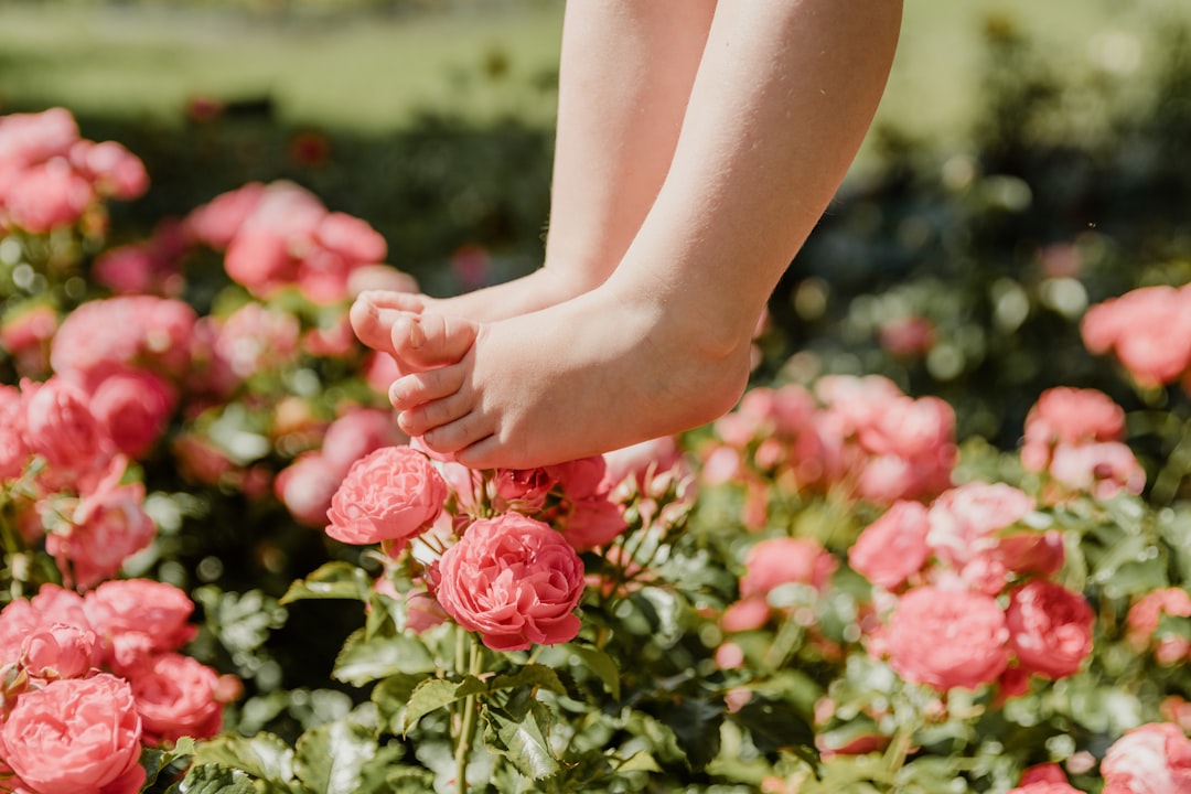 2026年预见：数字化浪潮如何重塑足疗养生行业的“神经中枢”