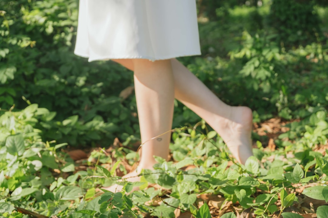 2026智慧养生新纪元：从数据孤岛到生态闭环的行业解决方案演进