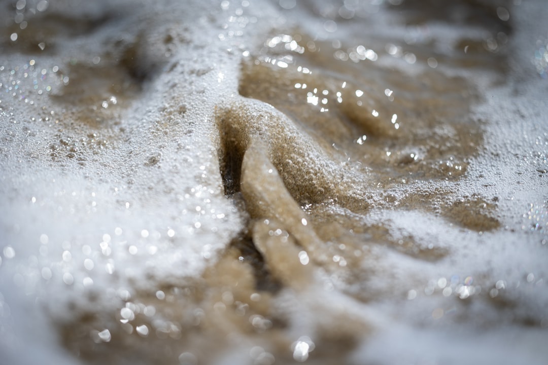 2026洗浴足疗业智能图景：从指尖算法到沉浸式健康体验的数字化转型实践