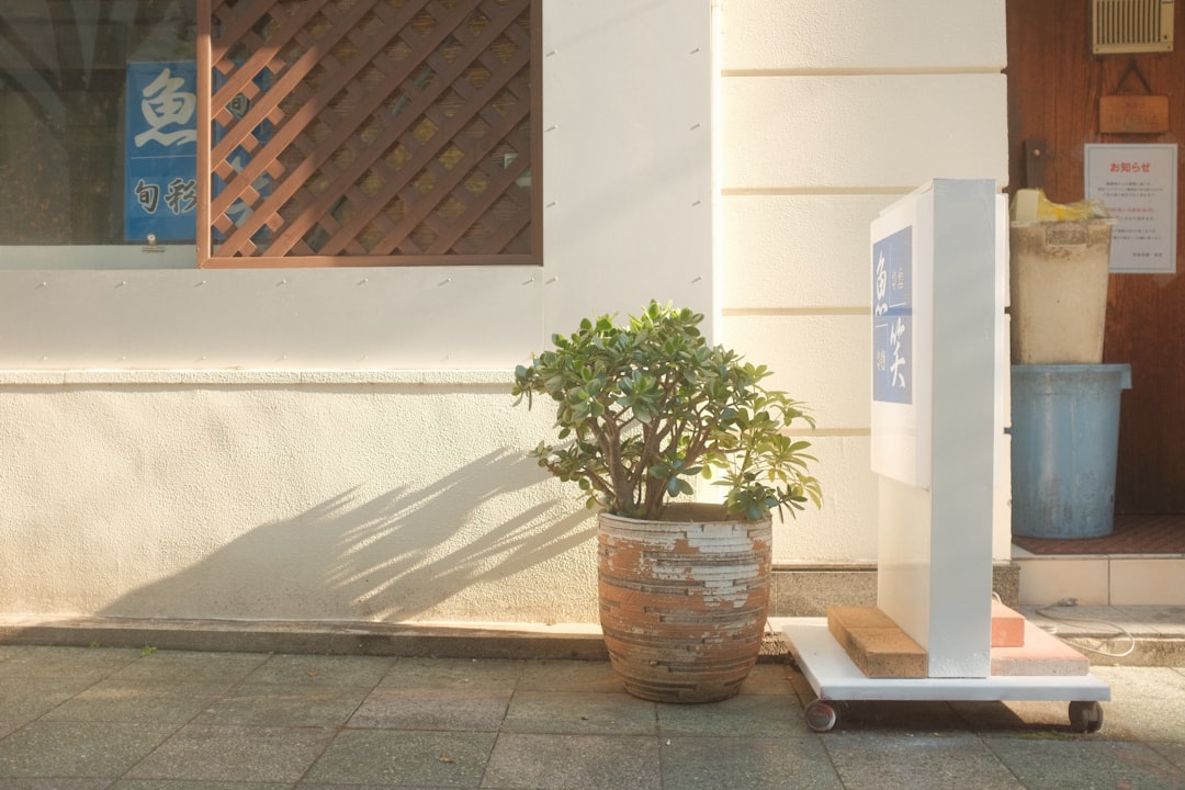 从“好用”到“爱用”：2026年足疗智能系统用户体验设计的三个跃迁