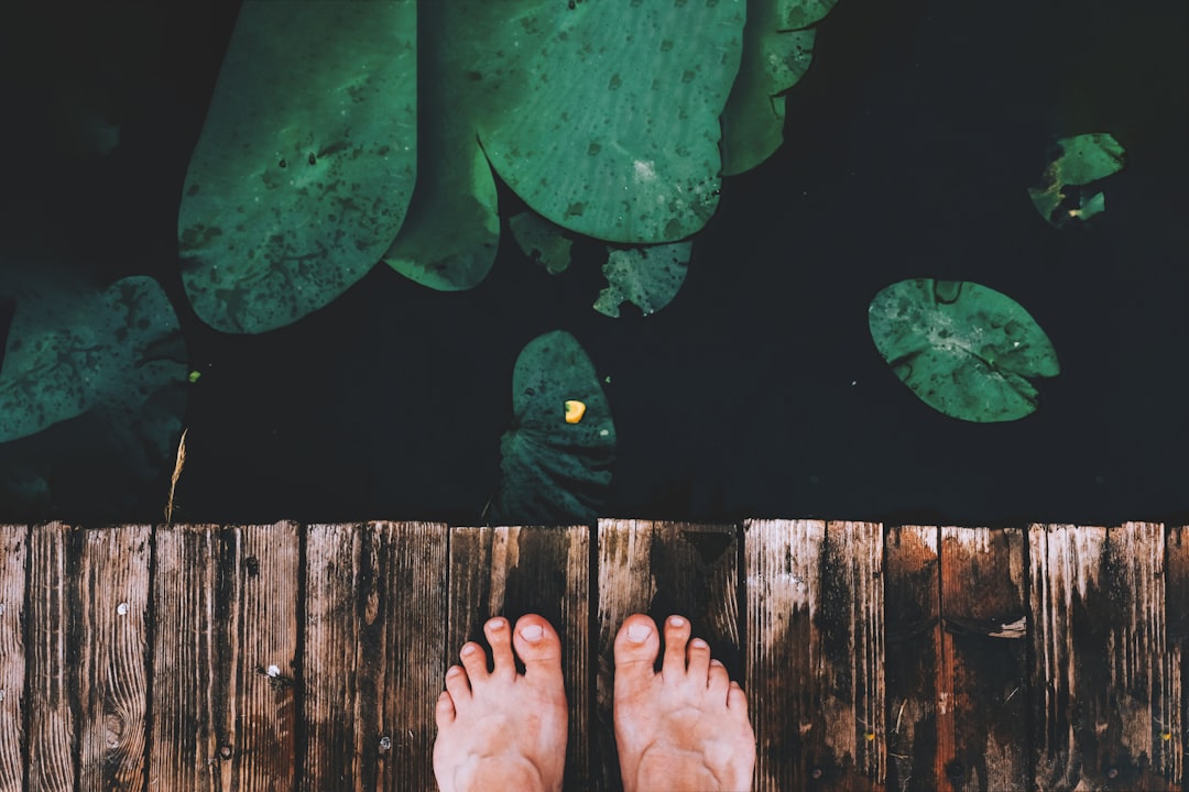 数字经络：2026年足疗养生行业管理软件的生态化重构与破局之道