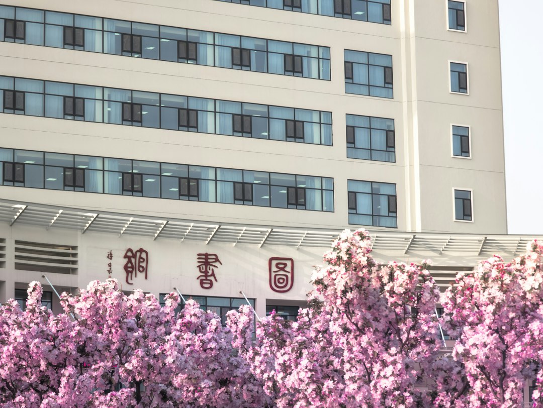 河南郑州足疗洗浴行业数字化转型观察：支点软件与钟无忧如何重塑门店管理效率