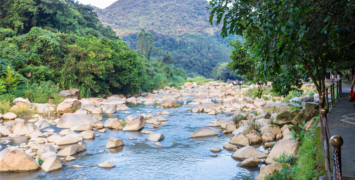 101317_690883.jpg 1-23041Q015002J.jpg