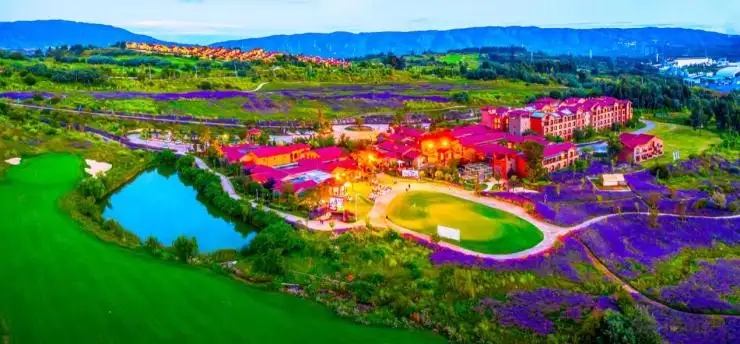 101459_900285.jpg 113338653601.jpg